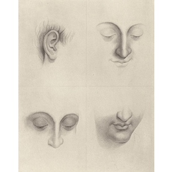 Studies for a woman's head - da Vinci