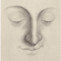 Studies for a woman's head - da Vinci