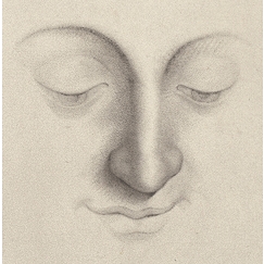Etudes pour une tête de femme - de Vinci