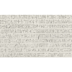 Rosetta Stone - Upper part - Hieroglyphs