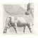 Winged bull with human head - Nineveh