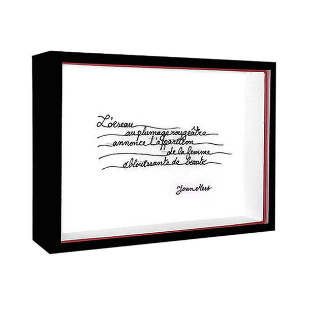 Boîte Les mots de Miró L'oiseau