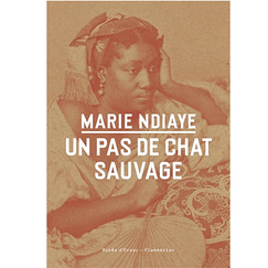 Un pas de chat sauvage