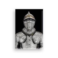 Magnet Armor of Henri II