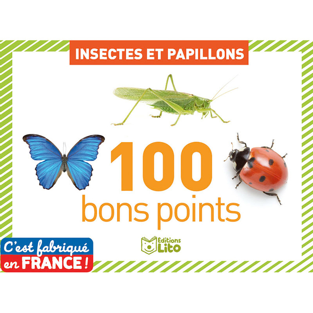 Insects and butterflies - 100 good points