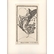 Premier Mobile, Carte 49 (Noir & Blanc)