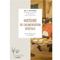 History of vegetable food - From prehistory to the present day