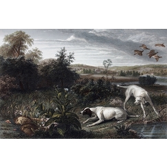 Folle and Mitte, dogs of Louis XIV - François Desportes