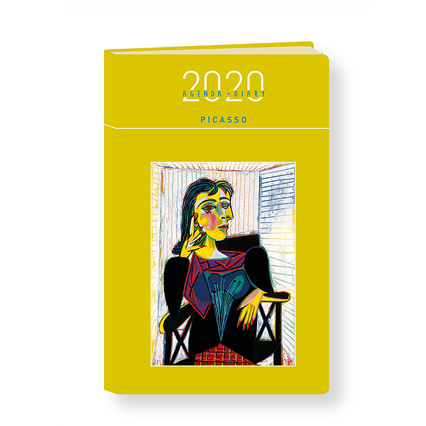 Picasso 2020 Diary