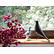 Eames house bird - Black