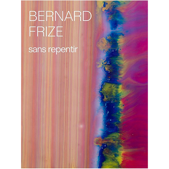 Bernard Frize Sans repentir - Catalogue d'exposition