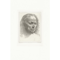 Engraving Old man's head - Leonardo da Vinci