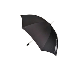 Château de Fontainebleau Umbrella