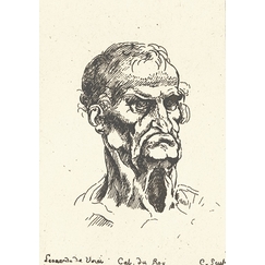 Tête d'homme âgé - Léonard de Vinci