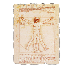 Fresco - Leonardo da Vinci - Vitruvian Man - Bottega Tifernate