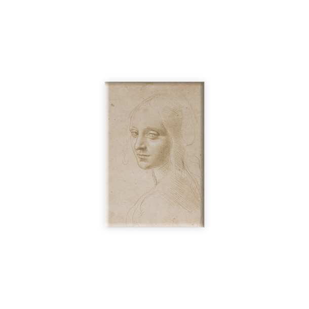 Da Vinci magnet - Head of a woman study
