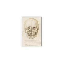 Magnet Léonard de Vinci - Étude de crâne