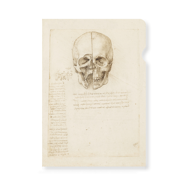 Clear File da Vinci - Study of a Skull