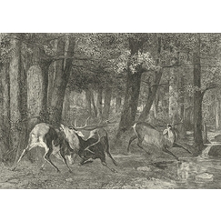 The Battle of the Stags - Gustave Courbet