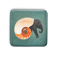 Shellelephant Square Trinket tray - Gangzaï