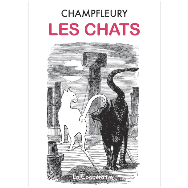 The cats - Champfleury