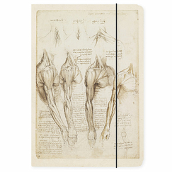 Chemise à élastique Léonard de Vinci - Études anatomiques