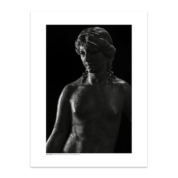 Reproduction Apollon citharède - Nikos Aliagas