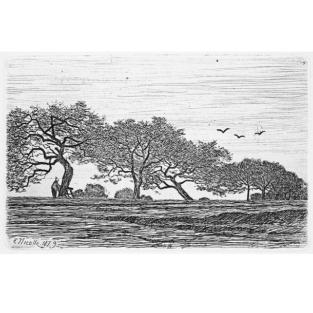 Les Pommiers