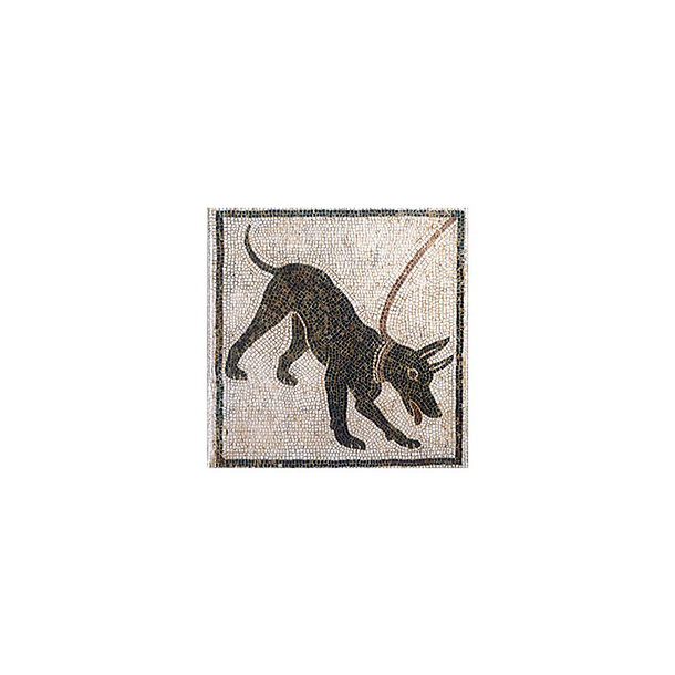 Magnet Pompéi - Mosaïque Chien