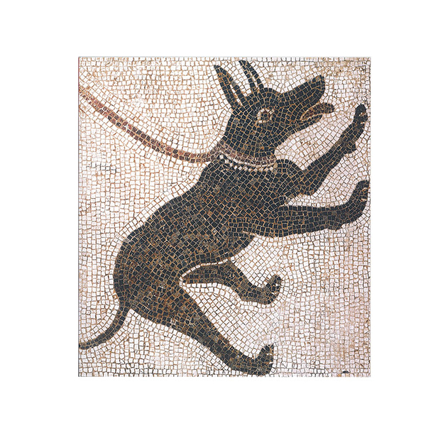 Sketch Pad Pompeii - Mosaic of a Dog