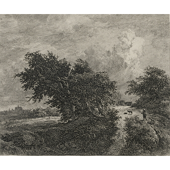 Le buisson - Van Ruisdael