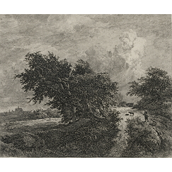 Le buisson - Van Ruisdael