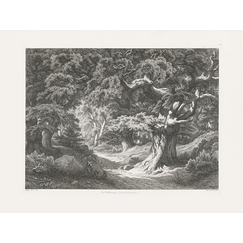 Engraving Forest of Fontainebleau: the Charlemagne and the Roland - Eugène Bléry