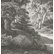 Forêt de Fontainebleau : le Charlemagne et le Roland