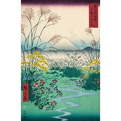 Champs de la plaine d'Otsuki, dans la province de Kai, 1797-1858