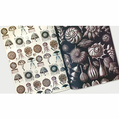 12 Feuilles de papier cadeau et créatif Monde marin - The Pepin Press