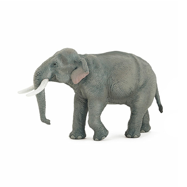 asian elephant figure