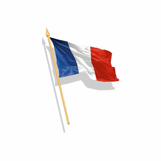 French Flag 15 x 23 cm