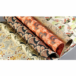 12 Feuilles de papier cadeau et créatif Art nouveau - The Pepin Press