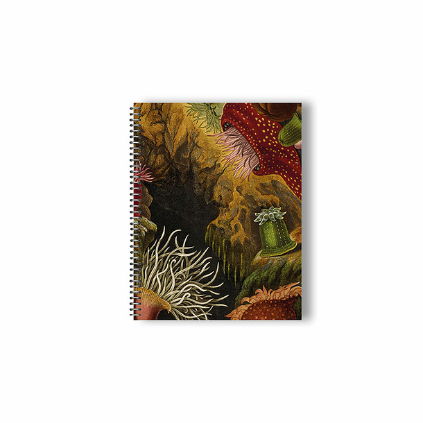 Spiral Notebook Gosse - Sea Anemones and Coral 