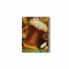 Spiral Notebook Gosse - Sea Anemones and Coral 