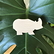 Figurine en bois Rhinocéros de François Pompon - Pompon Toys