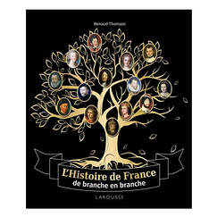 L'Histoire de France de branche en branche