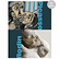 Picasso-Rodin - Exhibition Catalogue