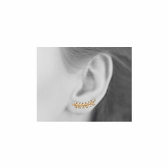 Laurel leaves Earrings