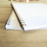 Spiral notebook - Peintres femmes