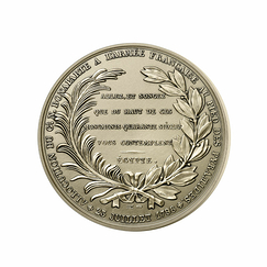 Médaille historique Bataille des Pyramides, bronze florentin, 59 mm - Monnaie de Paris