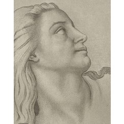 Woman's head