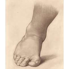 Engraving Study for the right foot of the Saint John the Baptist in the Desert - Raphael