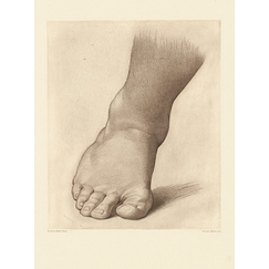 Etude pour le pied droit du "Saint Jean Baptiste dans le désert"
